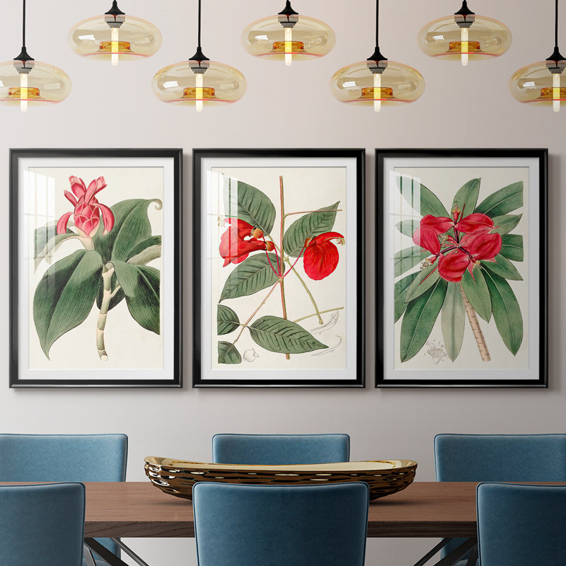 FloraOf TheTropicsI - Impression encadrée sur mesure de qualité supérieure - 3 pièces, H 15 po x l 19 po, Noir