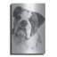 «American Bulldog» par Barbara Keith-2031758261