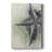 Found Starfish II -Gallery Wrapped Cavas-1554736049