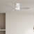Gris / Blanc
