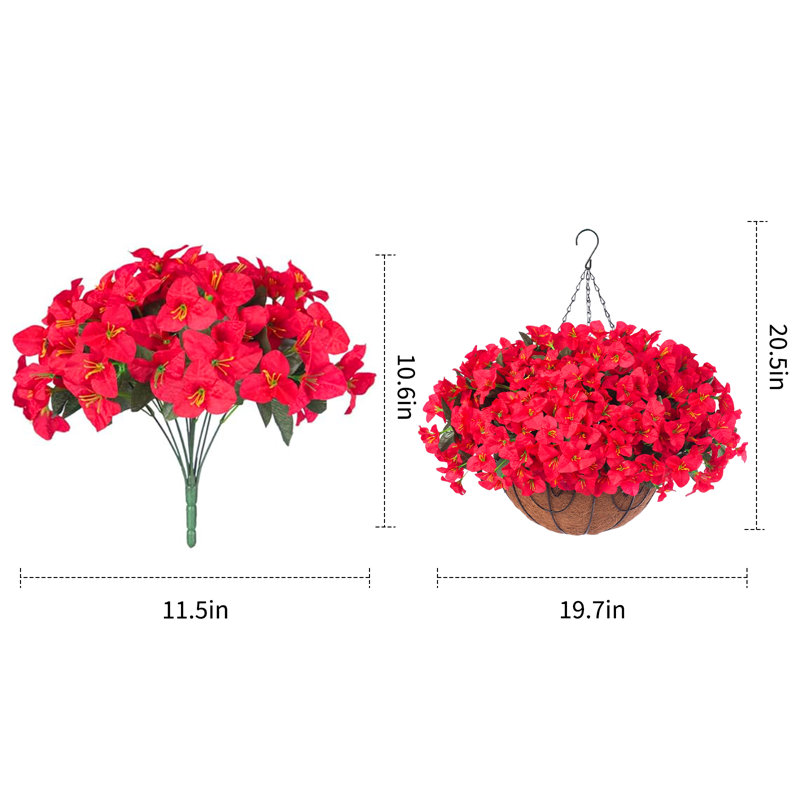 13.5cm Plant