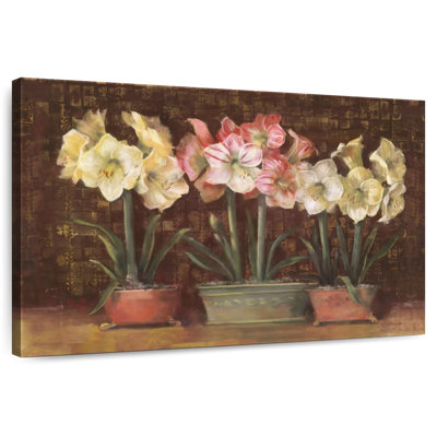 Amaryllis On Brown