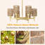 Lustre 6 lumières Boho