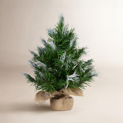 Whitecap Pine Tabletop Tree