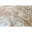 Floral Area Rug in White/Rust