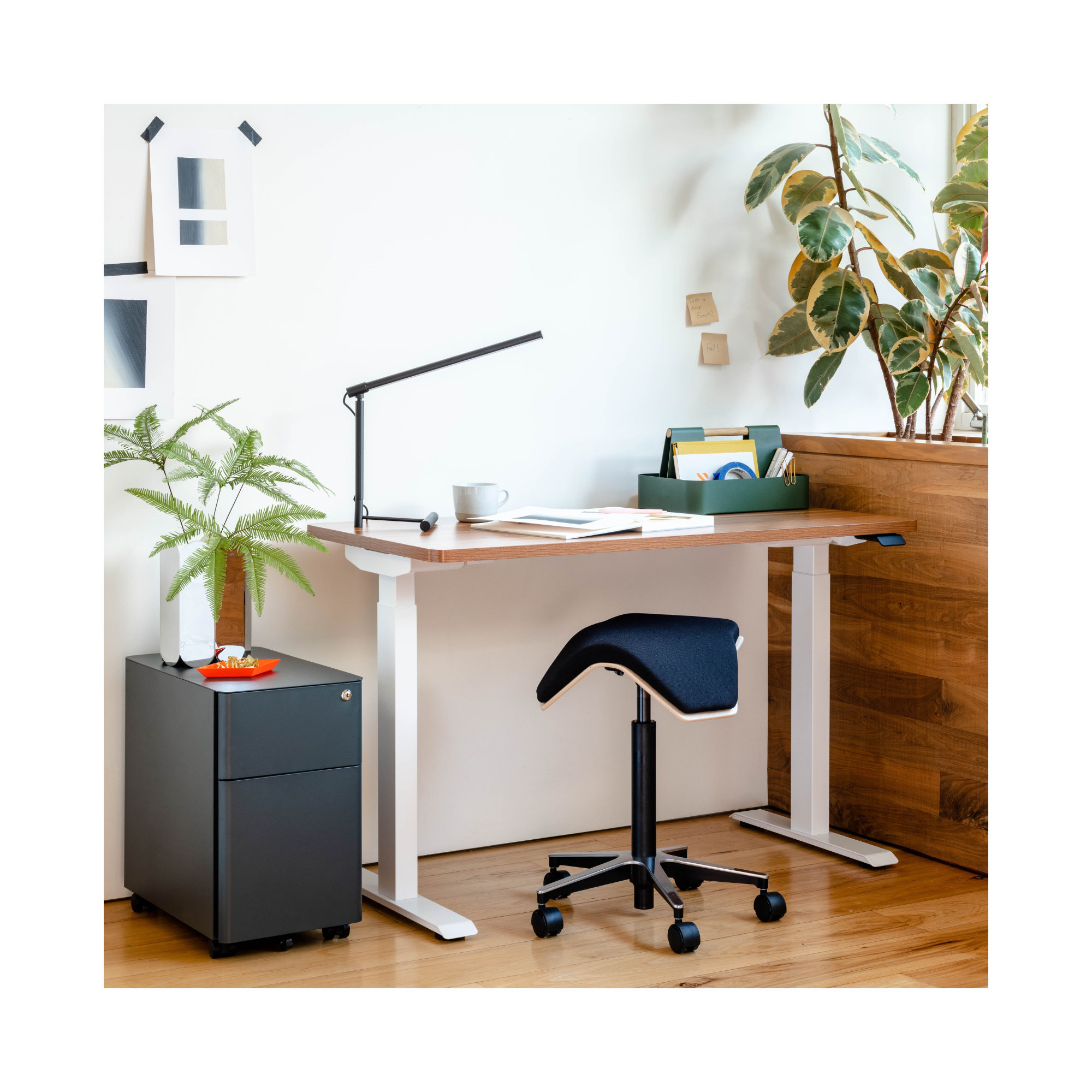 Duo Standing Desk, 47.3" H x 48" W x 24" D, Walnut, White