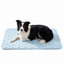 Tapis de refroidissement pour animaux de compagnie, tapis de refroidissement instantanés pour chien, tapis de refroidissement pour chien - utilisation intérieure d'été en plein air, résistant aux accrocs, lavable à la machine et antidérapant pour les grands et les petits chiens