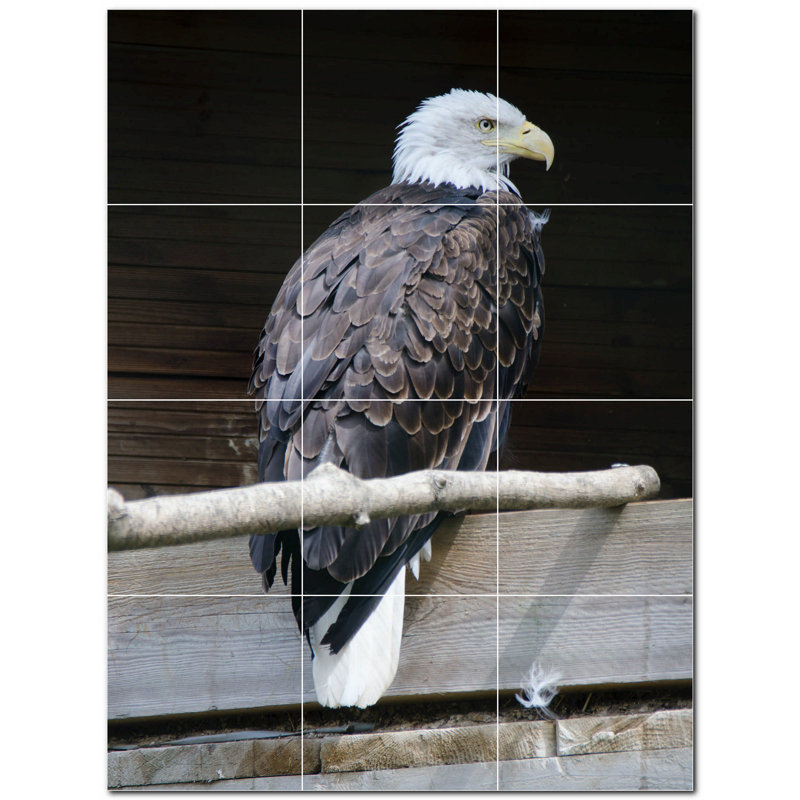 Murale en céramique satinée Bird Photo 8 po x 8 po