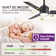 Modern 48" Ceiling Fan with Light and 3 Blades