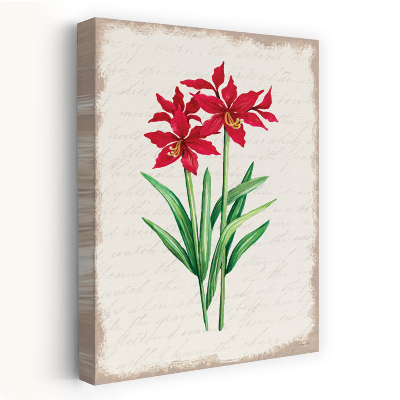 Amaryllis rouge, botanique et art contemporain, H 24 po x l 16 po