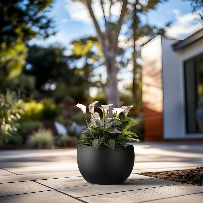 Pot à fleurs en ciment Highwoods, H 13 po x l 19 po x P 19 po, Noir anthracite