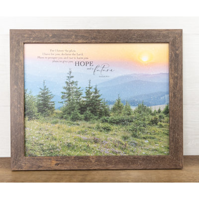 Spiritual " For I Know The Plans I Have For You Says The Lord Mountains "