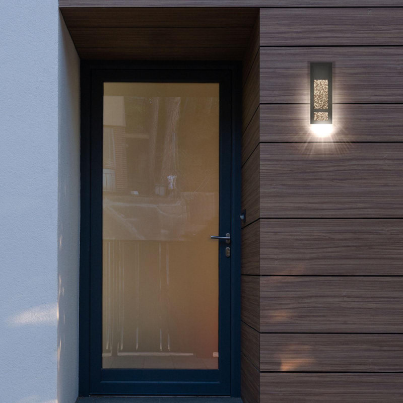 Jikayla LED Wall Light