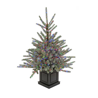 Blue 4' Pre-Lit Spruce Tree