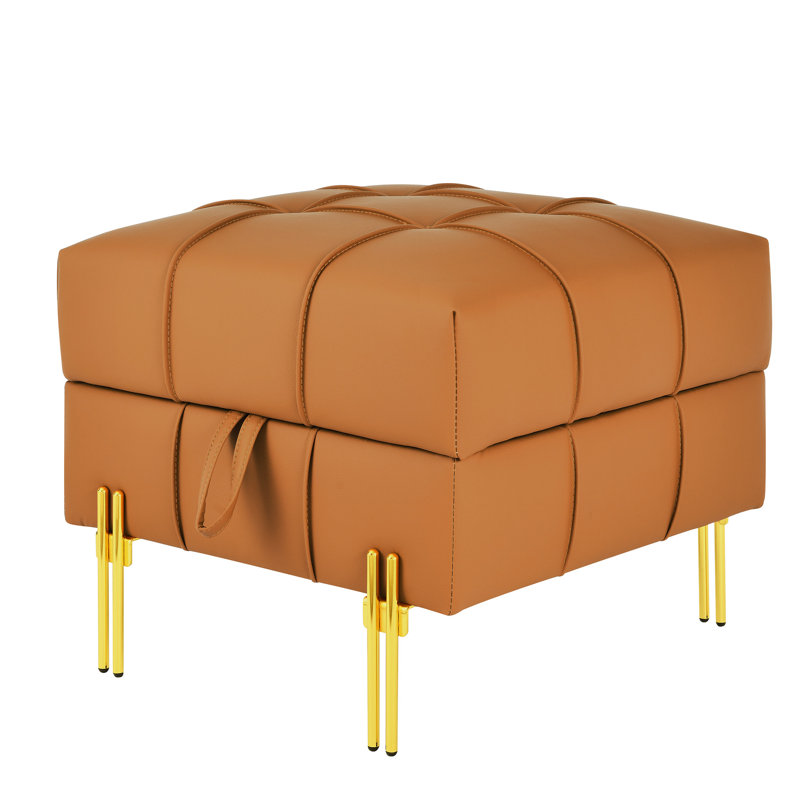 22 pouces en cuir rayé pour entrée - Pet - Banc de rangement orange avec pieds dorés en acier inoxydable orange, séduisant