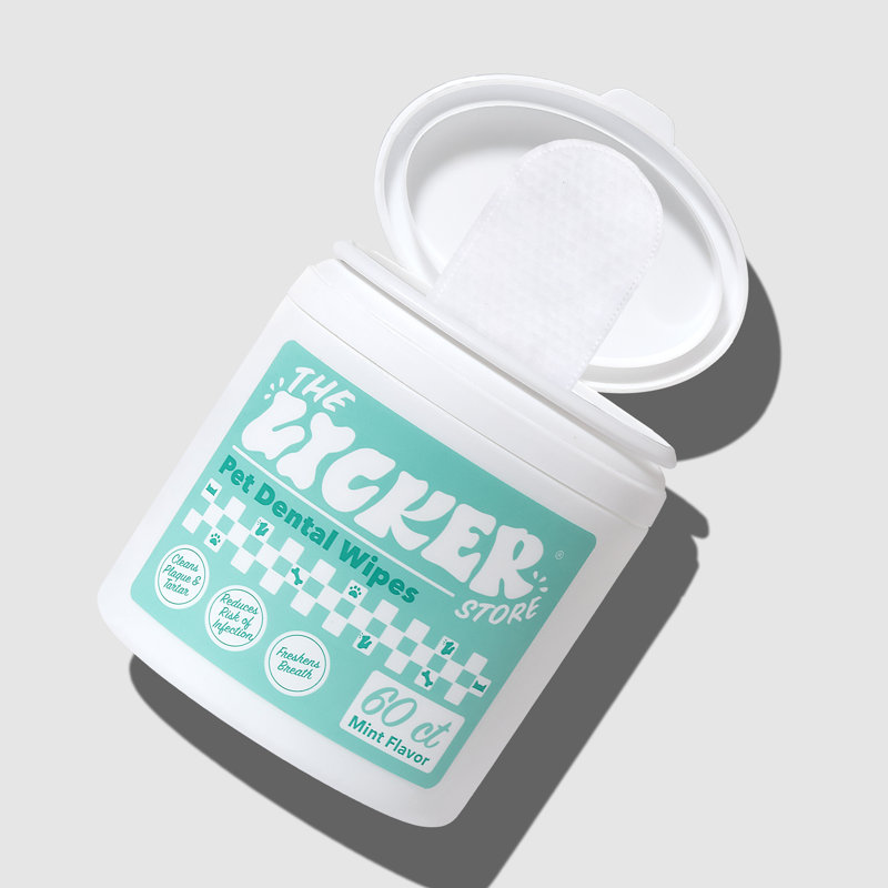 Lingettes hypoallergéniques pour chien avec odeur de menthe et d'extrait de feuille d'aloès, d'huile de noix de coco et de miel (60 unités)