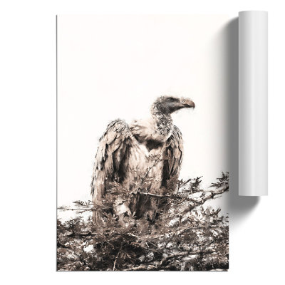 Vulture Painting - Frameless Print