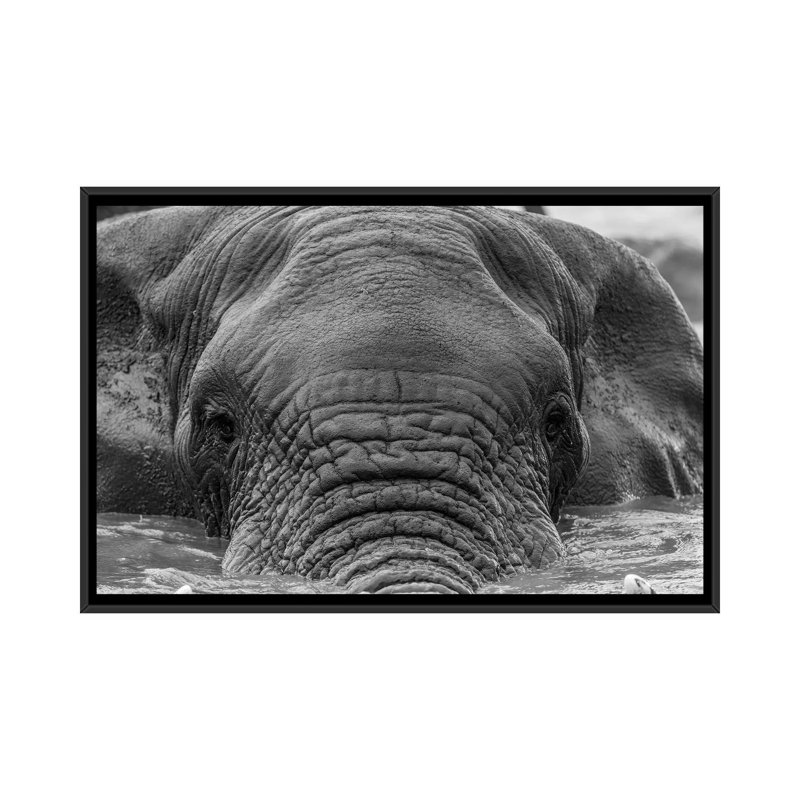 « éléphant partial submerged » par anders jorulf, impression sur toile, Toile avec cadre noir, Pas de tapis