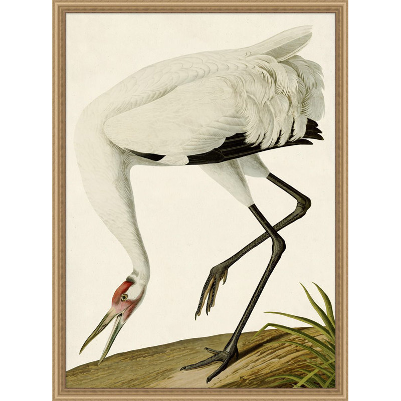 " Oiseau 2 "