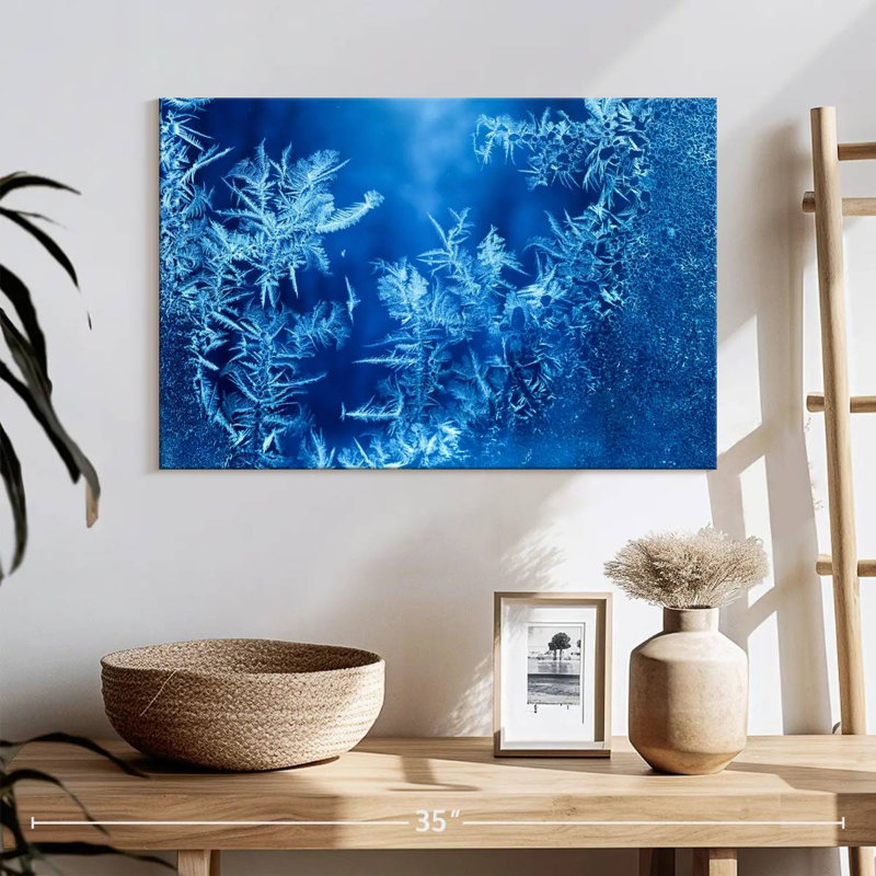 Alvord Winter Frost Forms