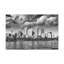 Toile de Sydney en noir et blanc avec paysage urbain époustouflant-2095653303