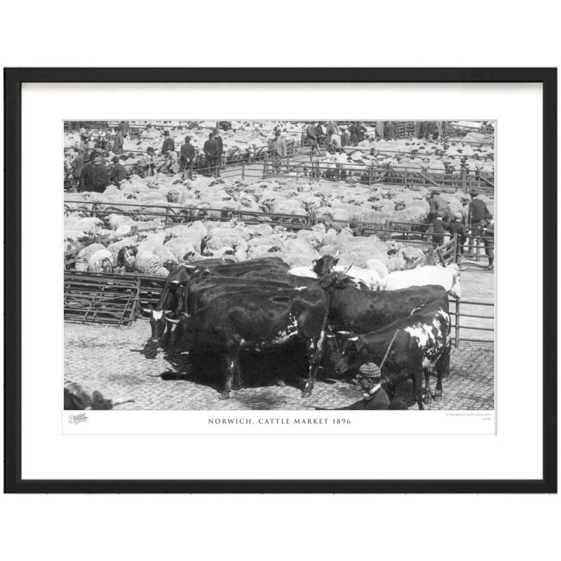 Norwich, Cattle Market 1896 by Francis Frith - Single Picture Frame Print, 45cm H x 60cm W x 2.3cm D