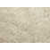 Barksdale Shaggy Area Rug Mink