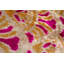 Coussin décoratif en velours