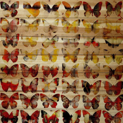 Parvez Taj - No Frame Print on Wood