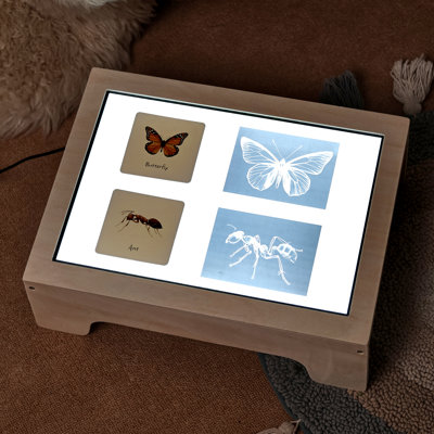 Kids' Wooden LED Light Table with Sensory Bin and 79-Piece STEAM Activity Set, Ages 4+