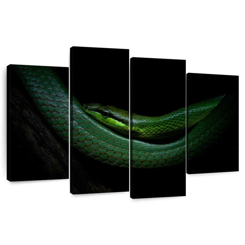 Brampt Mamba, 14" H x 24" W