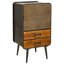 Bhandary Iron 1 - Door Rectangle Accent Cabinet