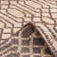 Sophie Geometric Area Rug in Brown/Beige-124609009