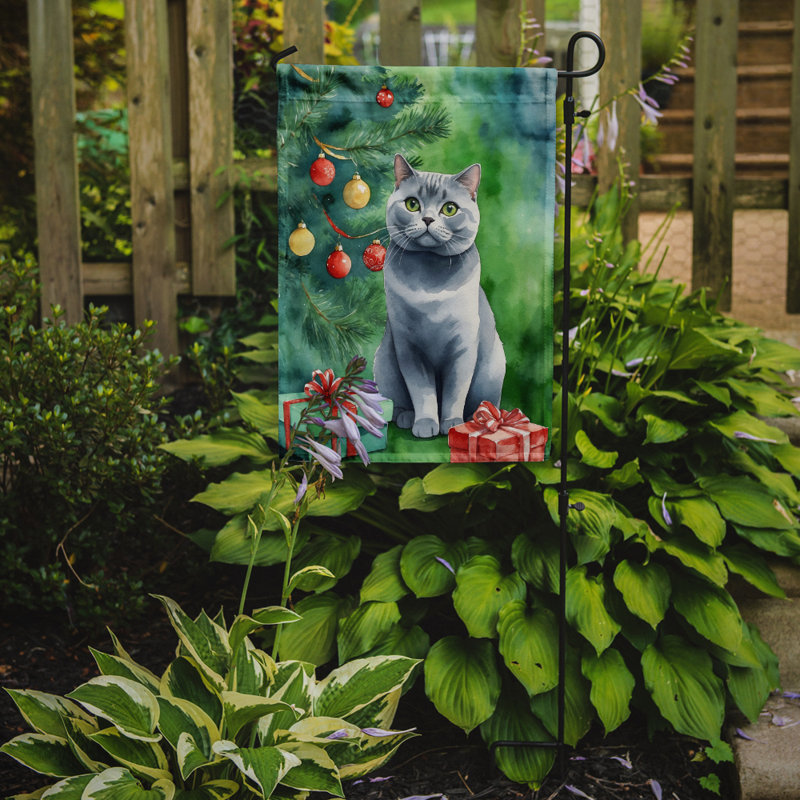 Drapeau de jardin Pixie Bob, British Shorthair