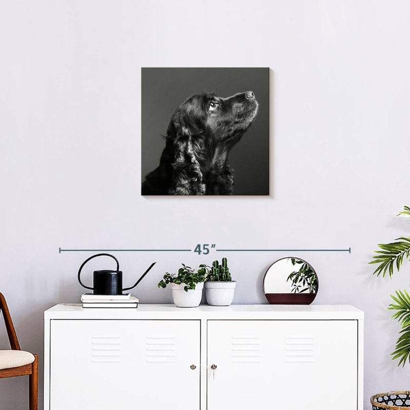 Brampt Shiny Black Dog, 20" H x 20" W