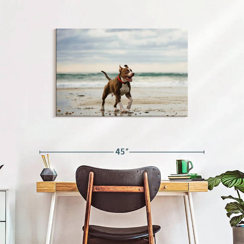 Brampt Pit Bull On Beach, 24" H x 36" W