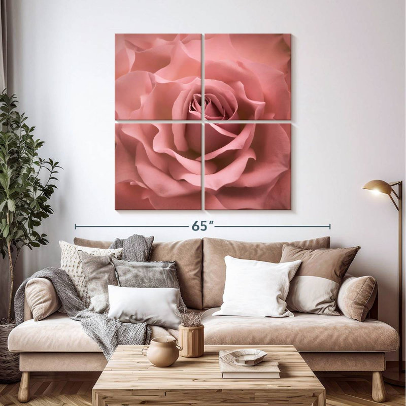 Rose brumeux Harnek, H 45 po x l 45 po