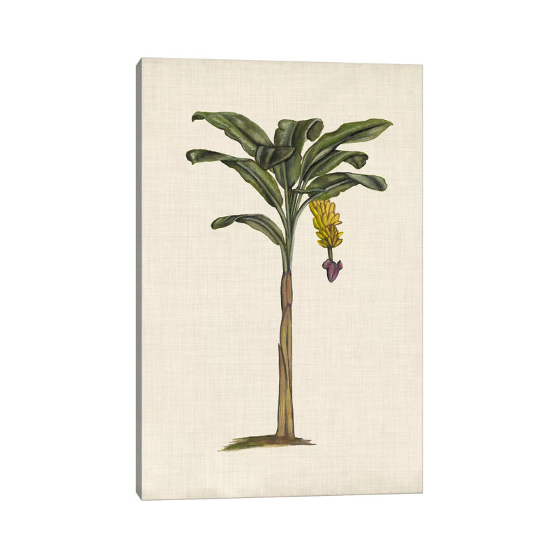 British Palms III by Naomi McCavitt - Wrapped Canvas Gallery-Wrapped Canvas Giclée, 20.32 cm H x 30.48 cm W