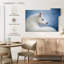 Husky blanc pur Brampt-108907642