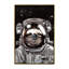« astronaute sloth selfie », art-49839862-49839844