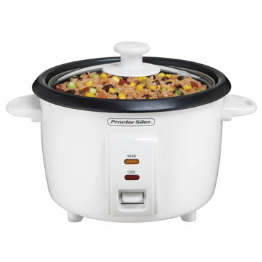 Vegetable Steamer Rice Cooker- 6.3 Quart Electric Steam Appliance with  Timer for Healthy Fish, Eggs, Vegetables, Rice, Baby Food by Classic  Cuisine