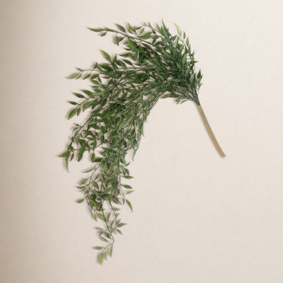 Quiller Ruscus Stems