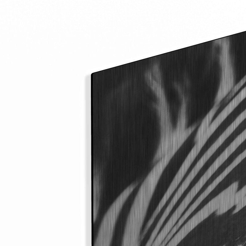 «Zebra V» par Debra Van Swearingen, H 36 po x l 36 po