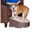 Rampe pour animal One Step