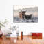 «Highlander and Calf», photographie-43719068-43719074