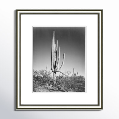 Saguaro National Monument Print by Ansel Adams