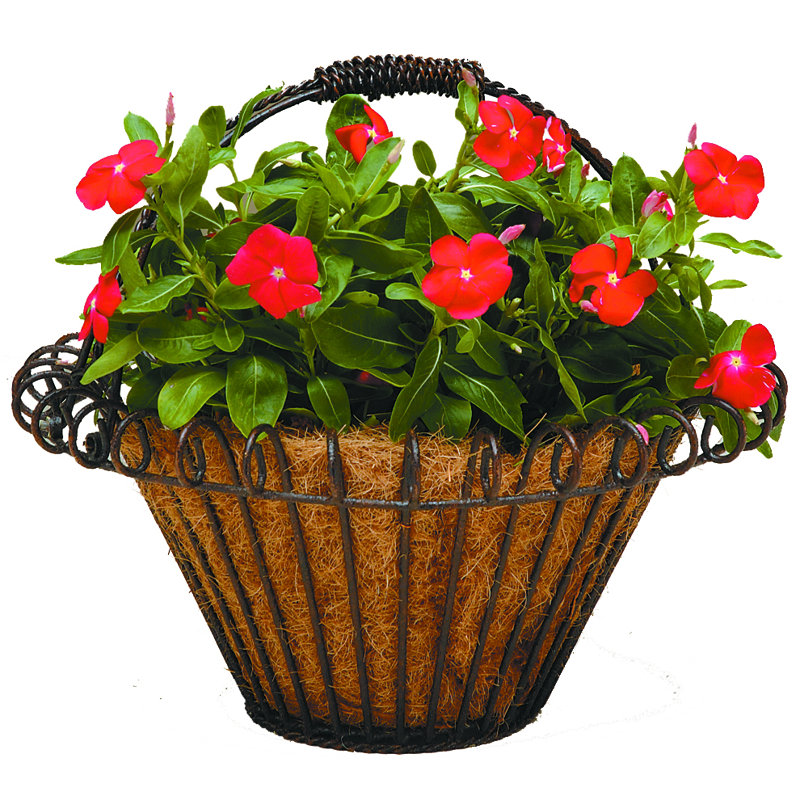 Mohonk Pot Planter