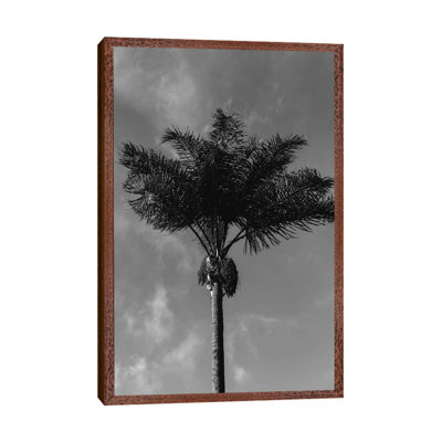 Monochrome Palm Tree 1 Piece Wall Art on Canvas