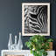 Zebra Colt - photographie encadrée sur toile-1855081027-1855081029