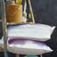 Coussin Palette-127424207-127424214